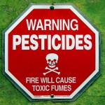 Why Pesticides Should Be Avoided