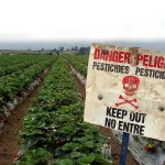 pesticides resources