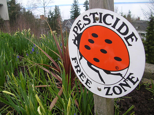 pesticide-free-gardening-pilliebee